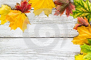 Seasonal frame of autumnal maple leaves on white wooden background