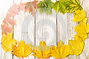 Seasonal frame of autumnal maple leaves on white wooden background