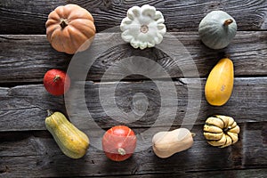 Seasonal frame of pumpkins, squashes and gourds for vegetarian menu