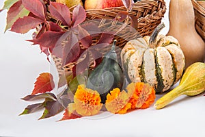 Seasonal fruit and pumpkins