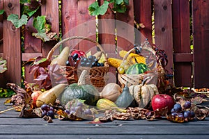 Seasonal fruit and pumpkins