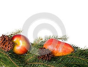 Seasonal Fruits