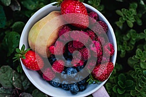 seasonal fruits, berries and flowers on a green background