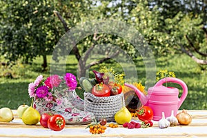 Seasonal gardening set background with various autumn fruits, vegetables gardener tools.