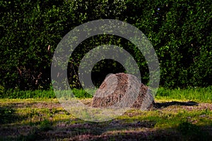 Seasonal haystack, foliage and grass