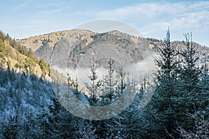 Sezónna prírodná scenéria, Veľká Fatra, Slovensko