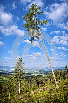 Seasonal natural scene in High Tatras mountain, Slovakia