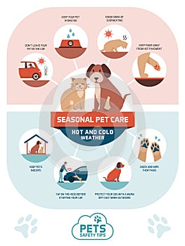 Seasonal pet safety tips