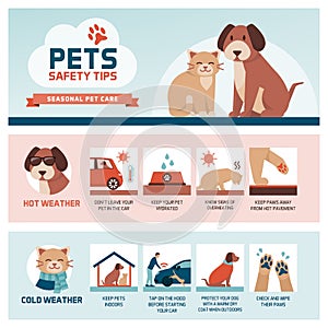 Seasonal pet safety tips