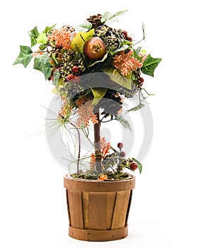 Seasonal Potted Tree