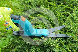 Seasonal pruning trees with pruning shears. Female gardener hand in protective gloves pruning tree leaves with pruning shears. Tak