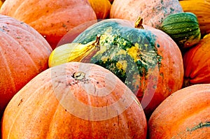 Seasonal Pumpkin Background