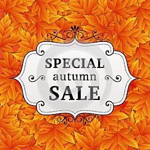 Seasonal special autumn sales business background