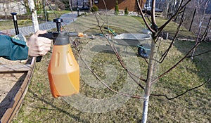 Spraying fruit trees with a pump sprayer with insecticides and fungicides in the spring season. Treatment of apple trees with photo