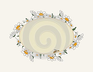 Seasonal spring hand drawn frame raster background.Summer decorative box or border with daisies, cute bee and place for text.