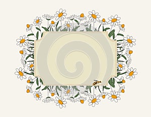 Seasonal spring hand drawn frame vector background.Summer decorative box or border with daisies, cute bee and place for text.
