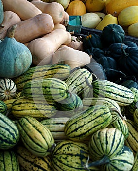 Seasonal Vegetables photo