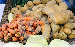 Seasonal vegetables just farmer's Garden collection