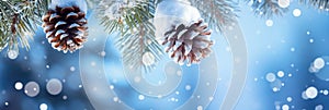 Seasonal winter Christmas bow background. Fir tree and pinecones in the sparkling snow. Outdoor icy frozen spruce pine branch.