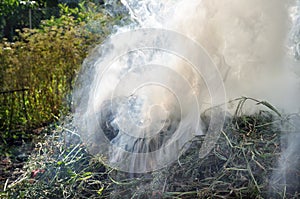 seasonal work in the vegetable garden - burning dried weeds