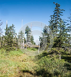 Seasonaly opened border pathway in Sumava mountains near V koute hill photo