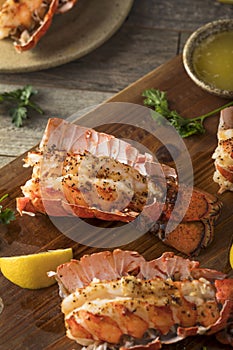 Seasoned Baked Lobster Tails