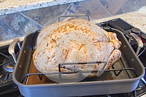 Seasoned Uncooked Turkey in Roasting Pan