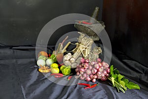 Seasoning concept. Thai herb ingredient, Fresh culinary herbs and spices on black fabric background with a pestle and mortar