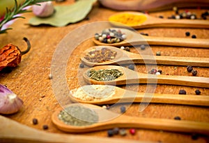 Seasoning - fresh and dried spices
