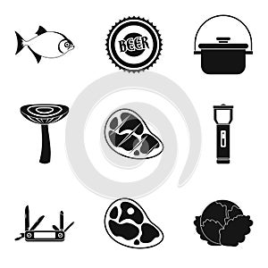 Seasoning for meat icons set, simple style