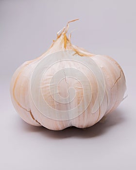 Seasoning raw material - garlic agricultural products