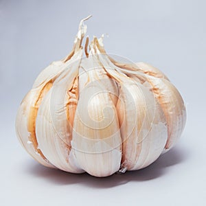 Seasoning raw material - garlic agricultural products