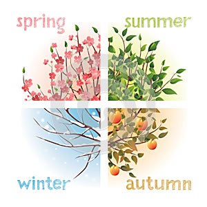 Seasons