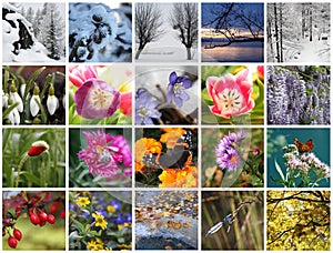 Seasons collage