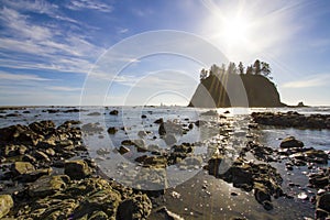 Seastack Sanctuary at Low Tide Second Beach Olympic National Park