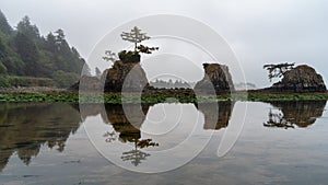 Seastacks on the Oregon Coast on a foggy day