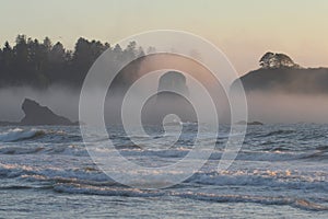 Seastacks on Wild Pacific Coast, Olympic National