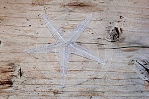 Starfish on a background of rustic wood