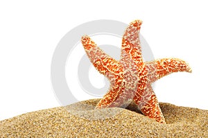 Seastar and sand bank