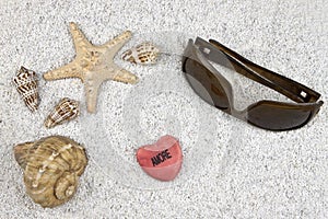 Seastar and shells