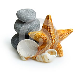 Seastar, stones and seashell.