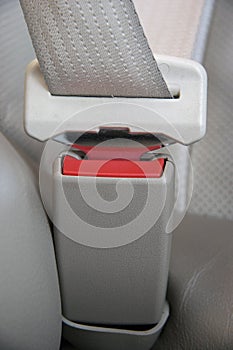 Asiento cinturón 