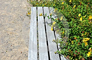 seat of a garden bench overgrown with yellow blooming flowers in the summer park