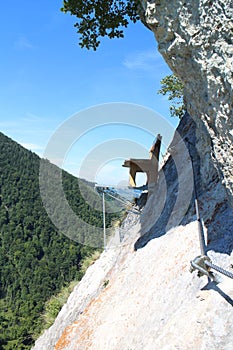 Seat in via ferrata Trattenbacher Klettersteig - Beisteinmauer