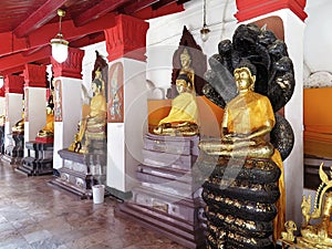 Seated Buddha protected by Mucalinda naga serpent & other images in Viharn Tap Kaset gallery at base of chedi, Wat Phra Mahathat