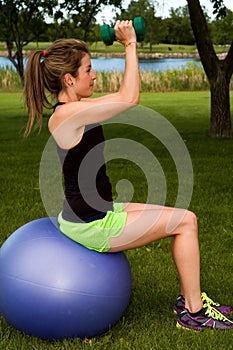 Seated Dumbbell Fly