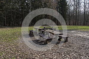 Seating area in the forest