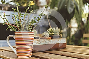 Seats in a coffee cafe garden concept of relax and resting.