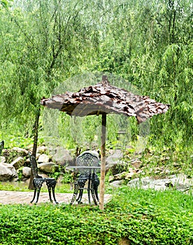 Seats in natural green garden at coffee shop