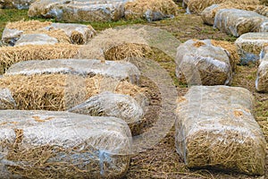 Seats and tables made from straw bales for event and party laid on lawn yard. Straws stubble decorated for sitting in the